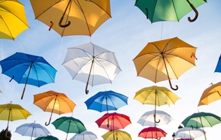 Great Gift Idea A Unique Umbrella